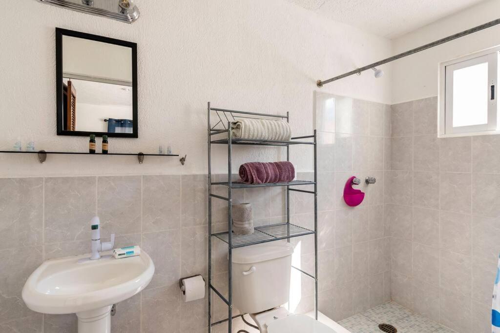 Micro Studio Perfect For Backpackers, Couples, 3 Min Drive To Playa El Nino 坎昆 外观 照片