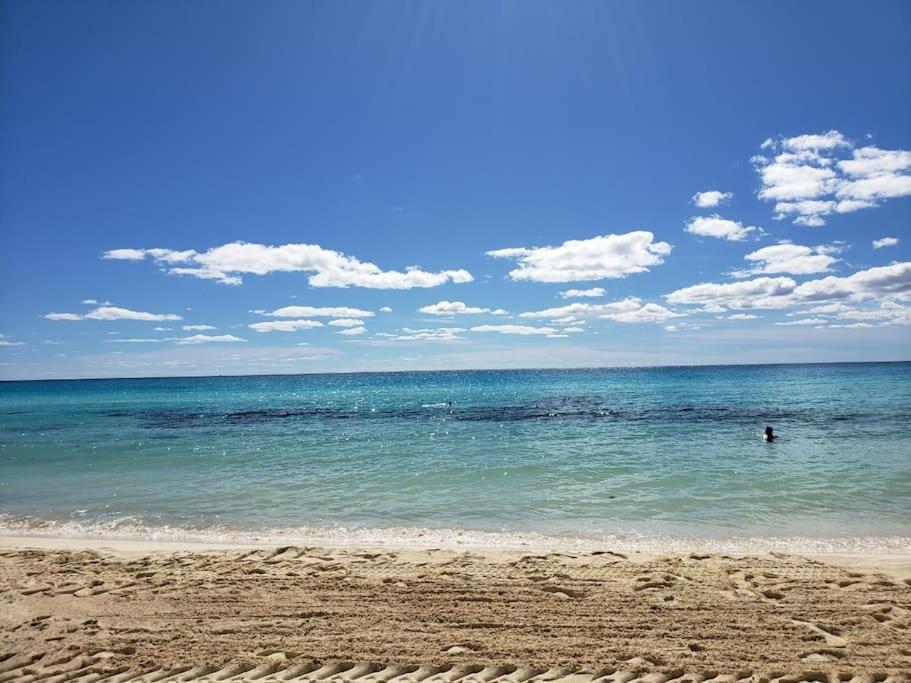 Micro Studio Perfect For Backpackers, Couples, 3 Min Drive To Playa El Nino 坎昆 外观 照片